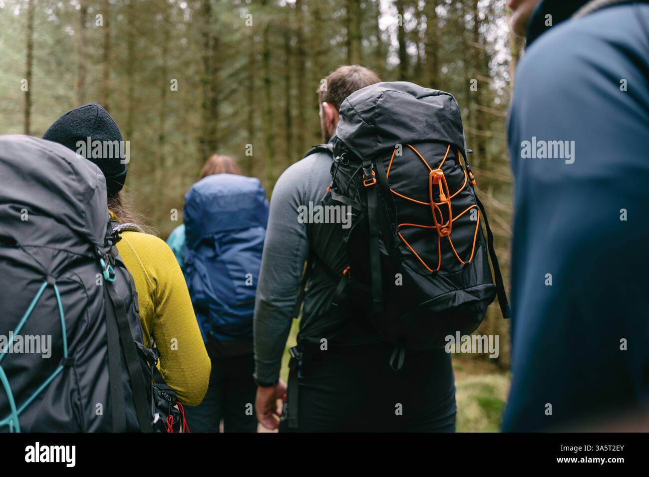 Gruppe von Wanderern, die mit Rucksäcken durch einen dichten Wald wandern Stockfoto