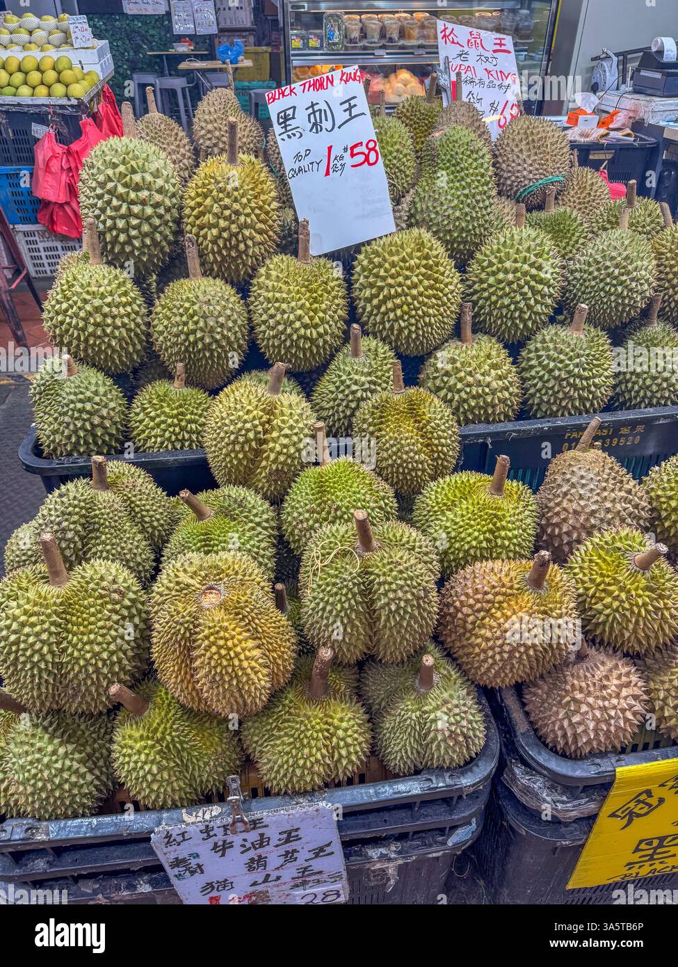 Jack-Fruit (Artocarpus heterophyllus), Obst wird auf dem chinesischen Markt in der Stadt China in Singapur, Asien, ausgestellt Stockfoto