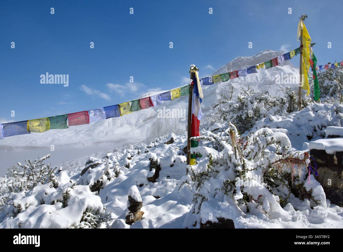 Muktinath-Tal auf einer Höhe von 3710 m am Fuße des Thorong La-Gebirgspasses, Himalaya, Nepal, Mustang District Stockfoto