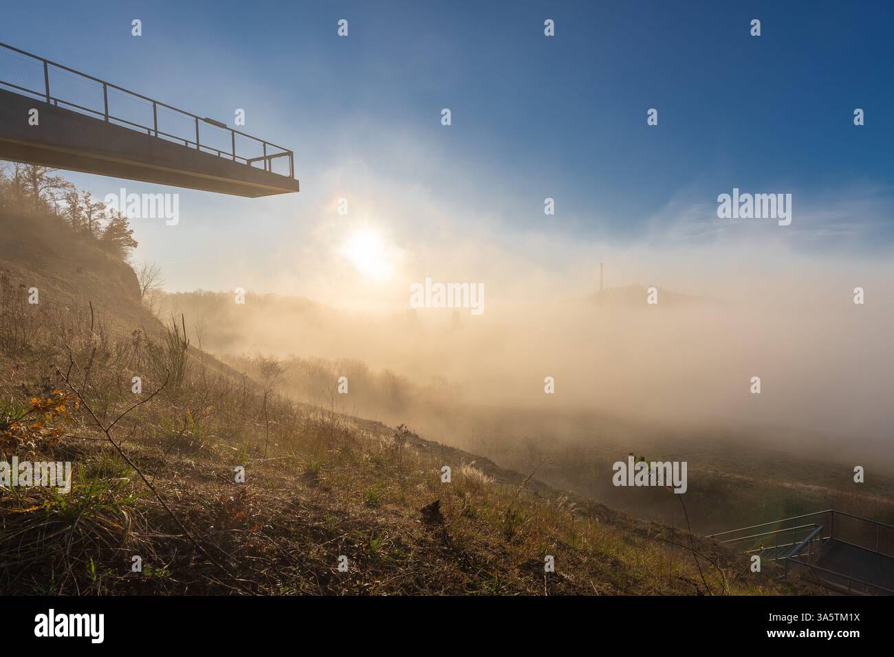 Ein nebeliger Morgen auf einem der sanften Hügel von Maastricht, wo das Tal von Nebel blockiert wird, schafft eine magische Atmosphäre und Idylle Stockfoto