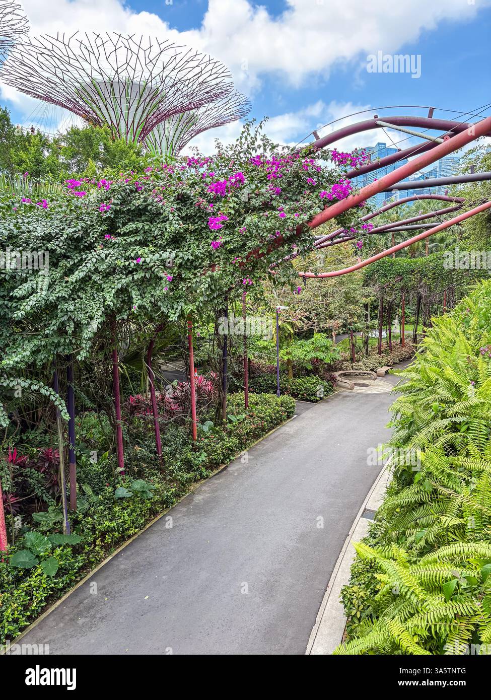 Gärten an der Bucht in Singapur, ist ein großer, futuristischer Park in der Stadt, mit Superbäumen und Gehwegen in einer grünen natürlichen Umgebung. Stockfoto