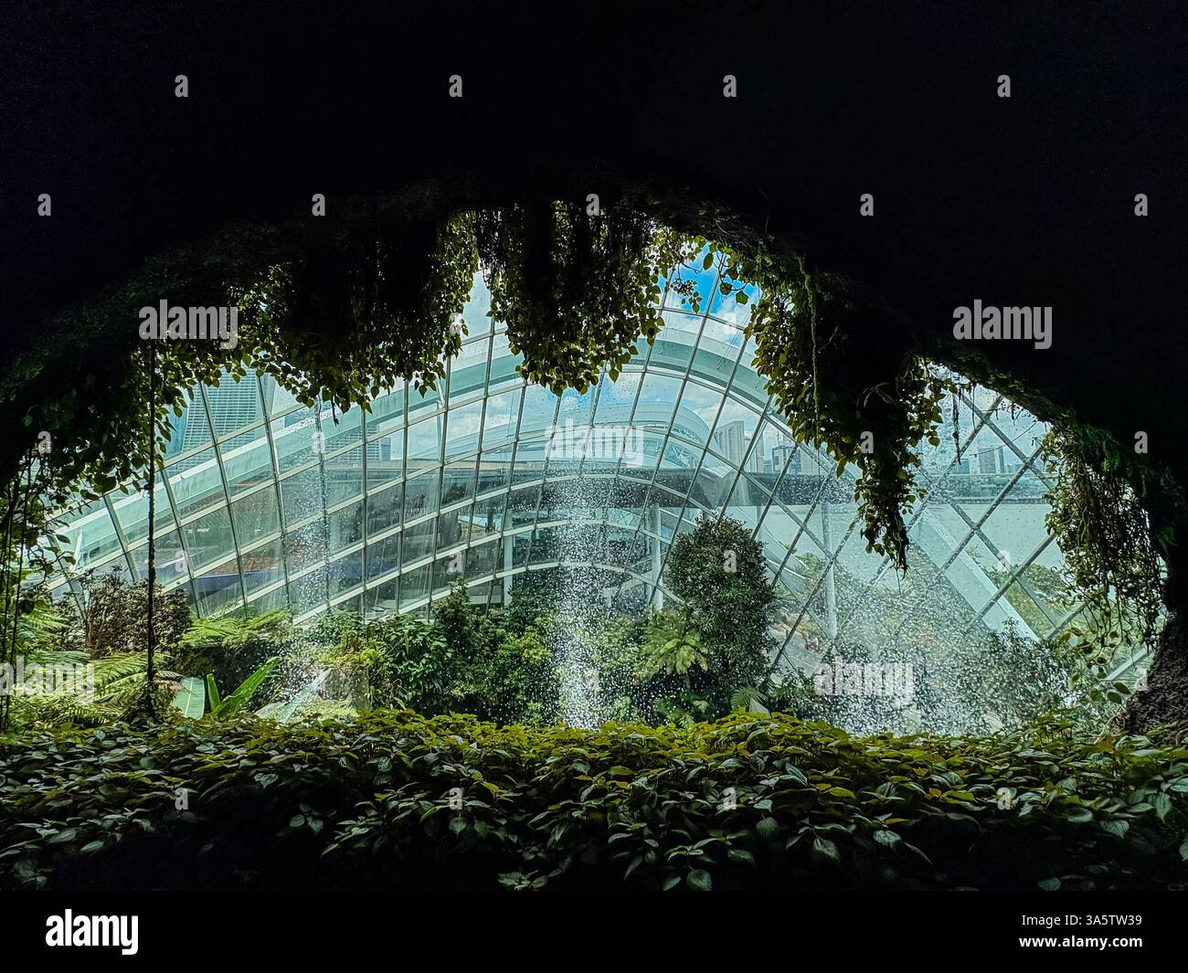 Der Cloud Forest in Singapurs Gardens by the Bay wird durch den natürlichen Höhleneingang betrachtet. Im Inneren befinden sich tropische Pflanzen und ein Wasserfall. Stockfoto