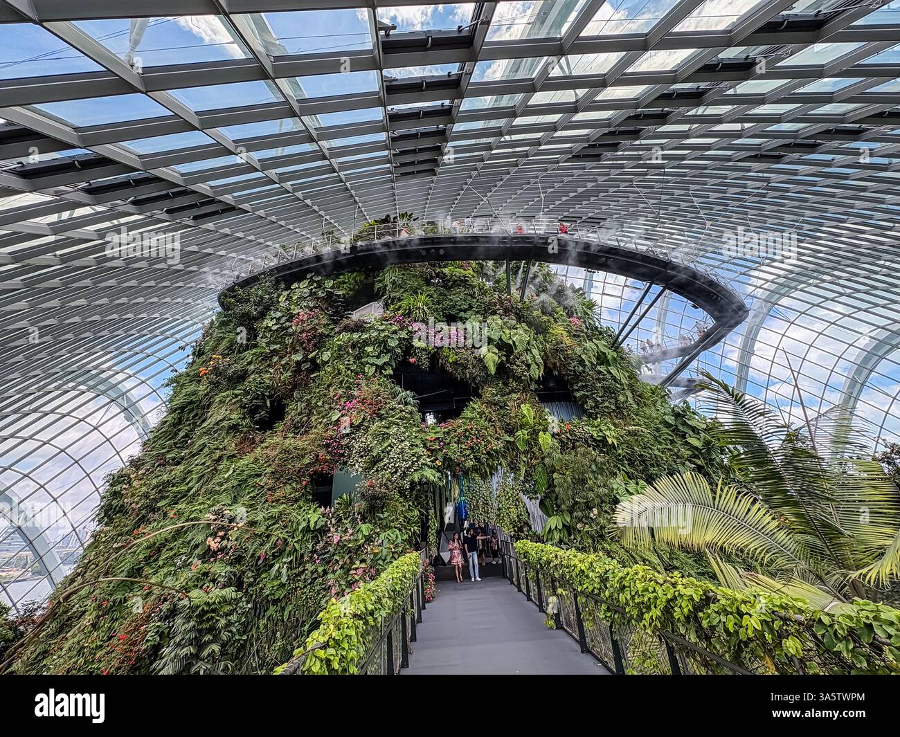 Flower Dome in Gardens by the Bay. Es zeigt Pflanzen aus verschiedenen Klimazonen mit einer unverwechselbaren Architektur und Innenumgebung. Stockfoto