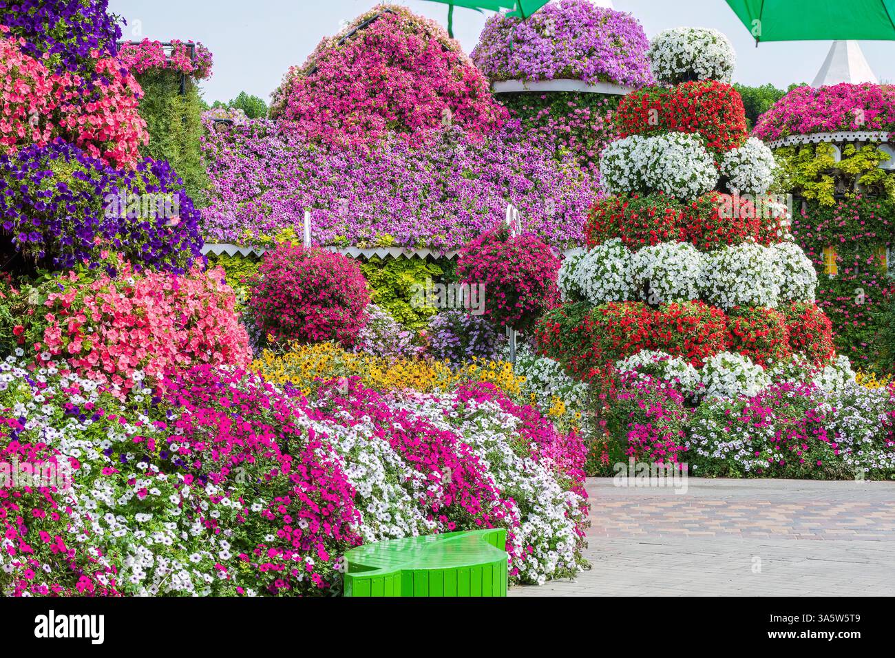Dubai, VAE - 5. Februar 2025: Miracle Garden in Dubai Stockfoto