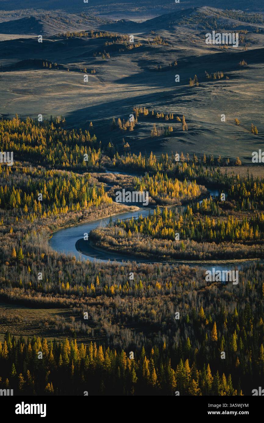Ein Panoramablick auf den Herbstwald und den Fluss Katun in Altai mit lebhaften Herbstfarben und natürlicher Schönheit. Stockfoto