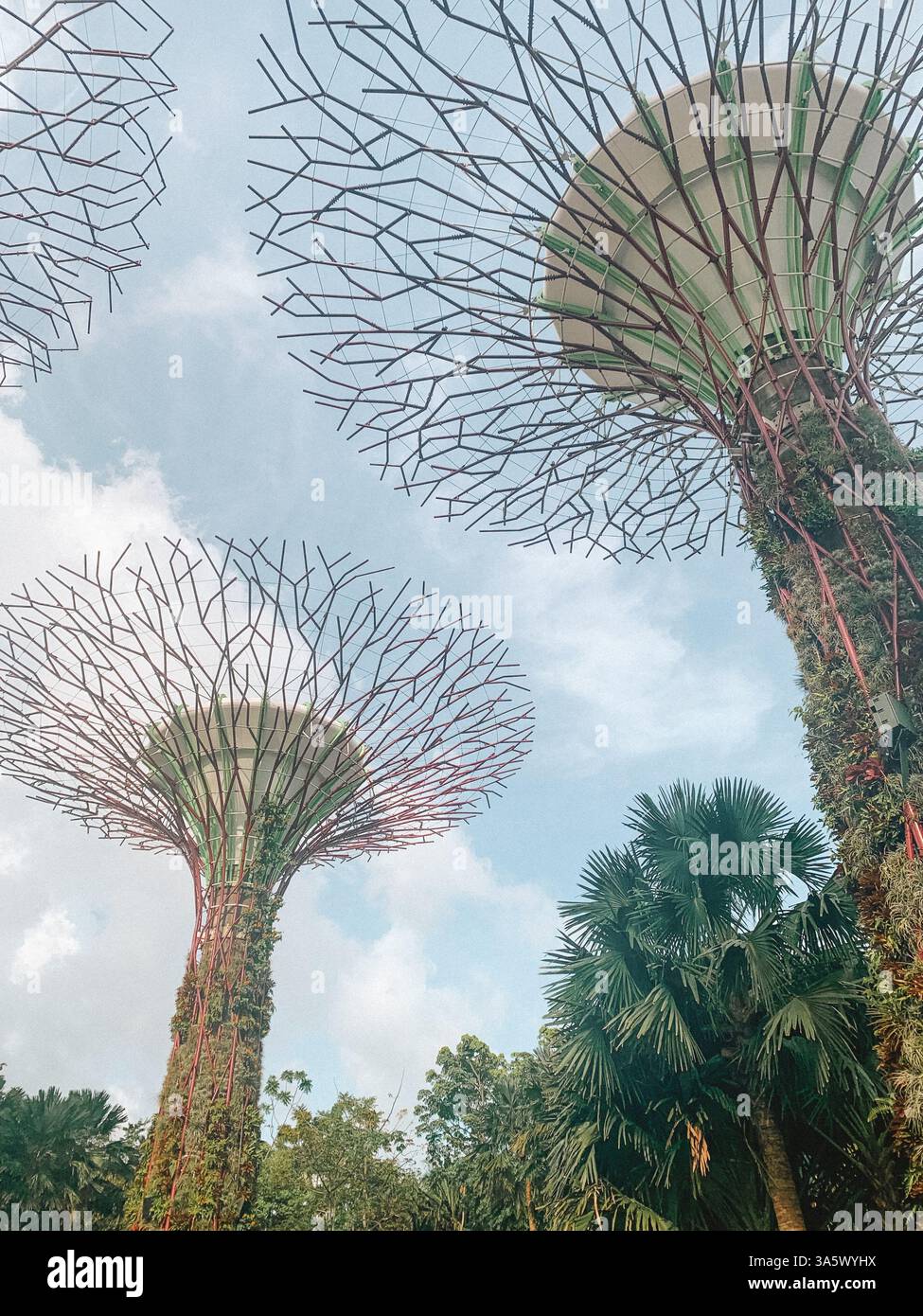 Gardens by the Bay, Singapur – üppiges Grün und futuristische Superbäume Stockfoto