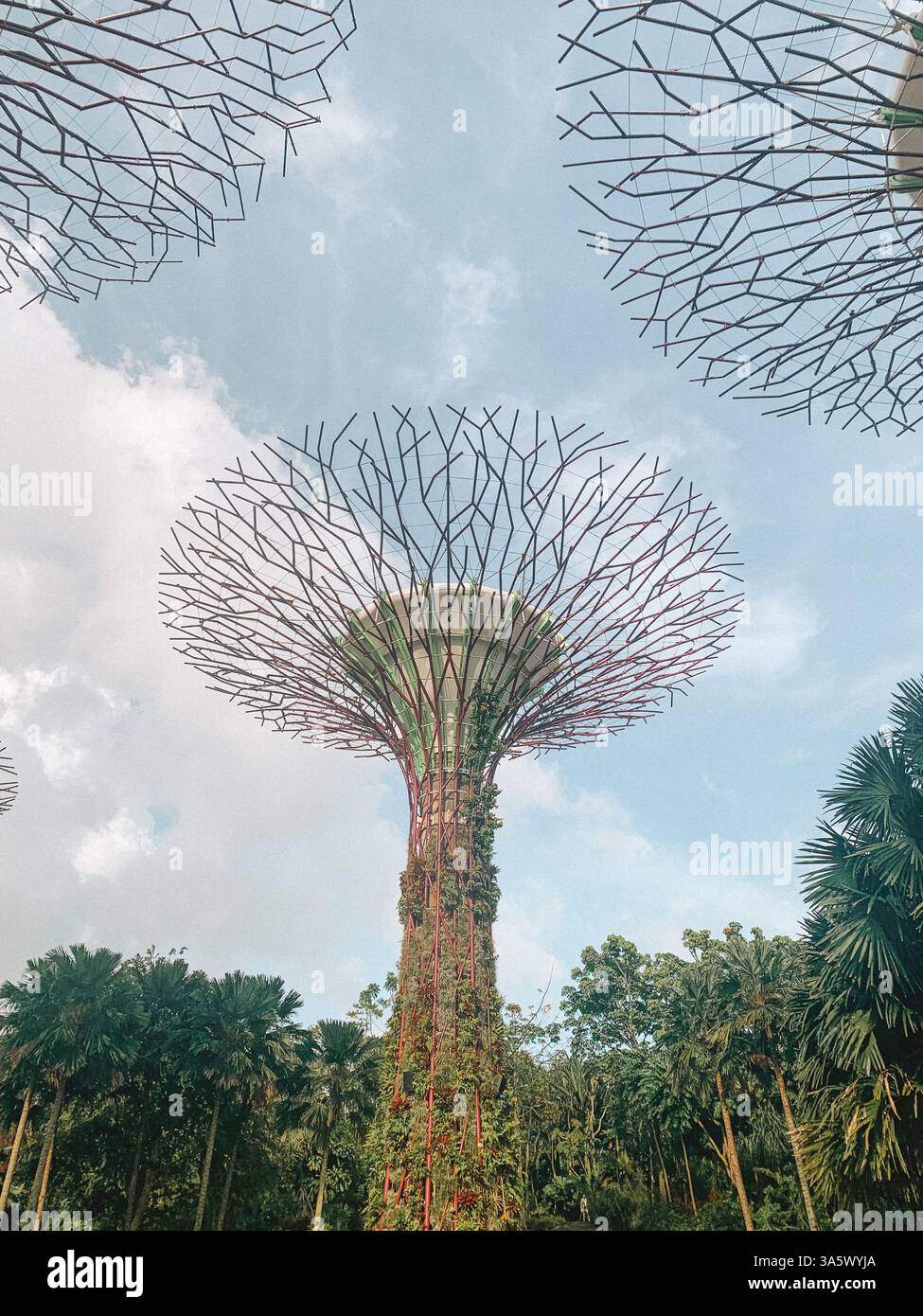 Gardens by the Bay, Singapur – üppiges Grün und futuristische Superbäume Stockfoto