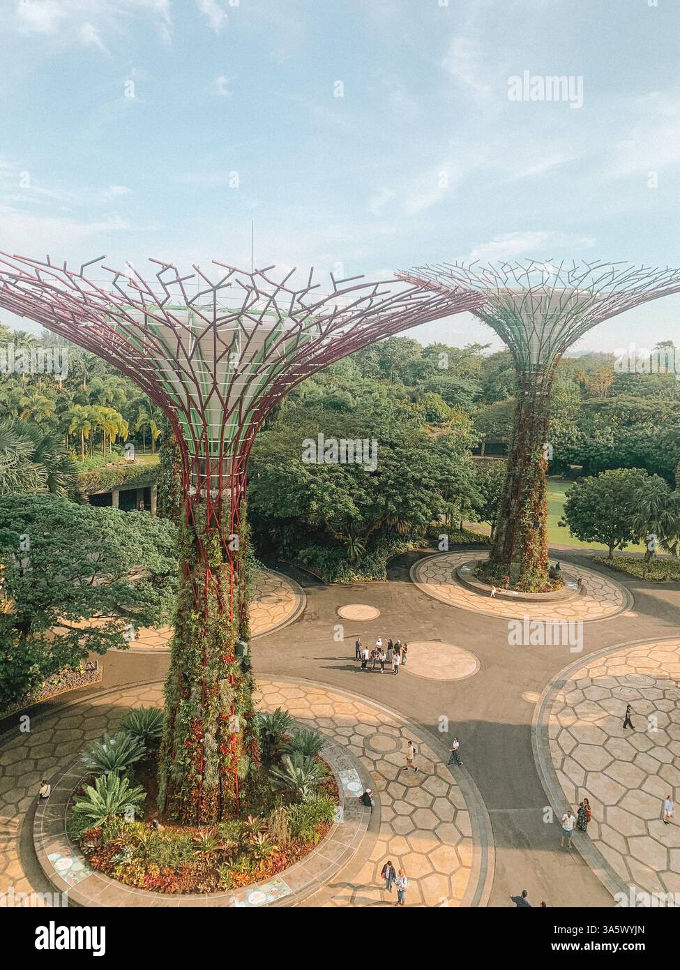 Gardens by the Bay, Singapur – üppiges Grün und futuristische Superbäume Stockfoto
