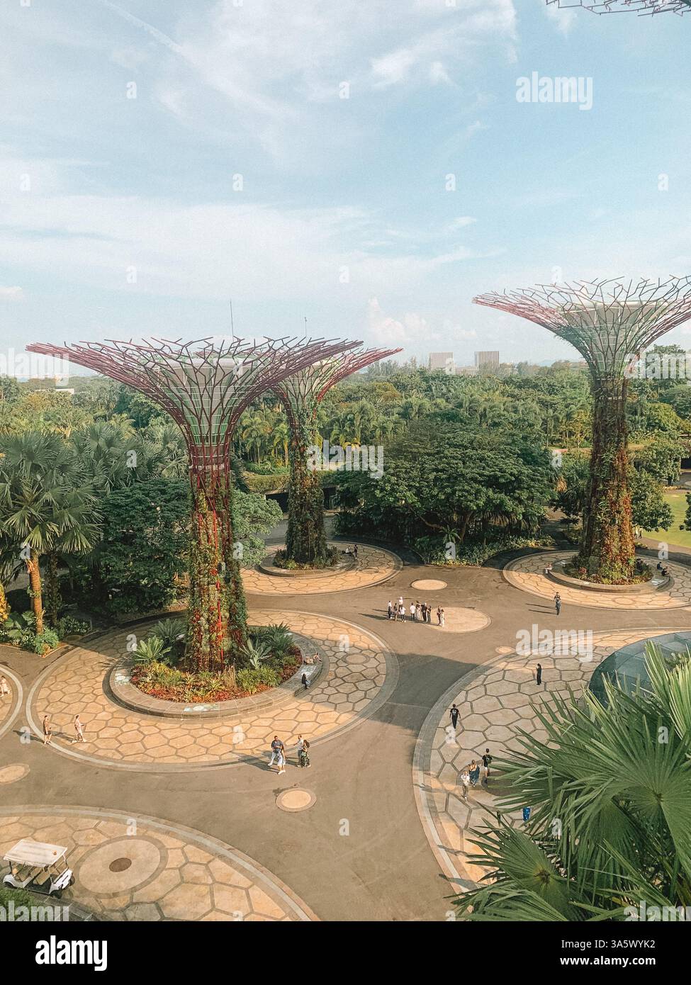 Gardens by the Bay, Singapur – üppiges Grün und futuristische Superbäume Stockfoto