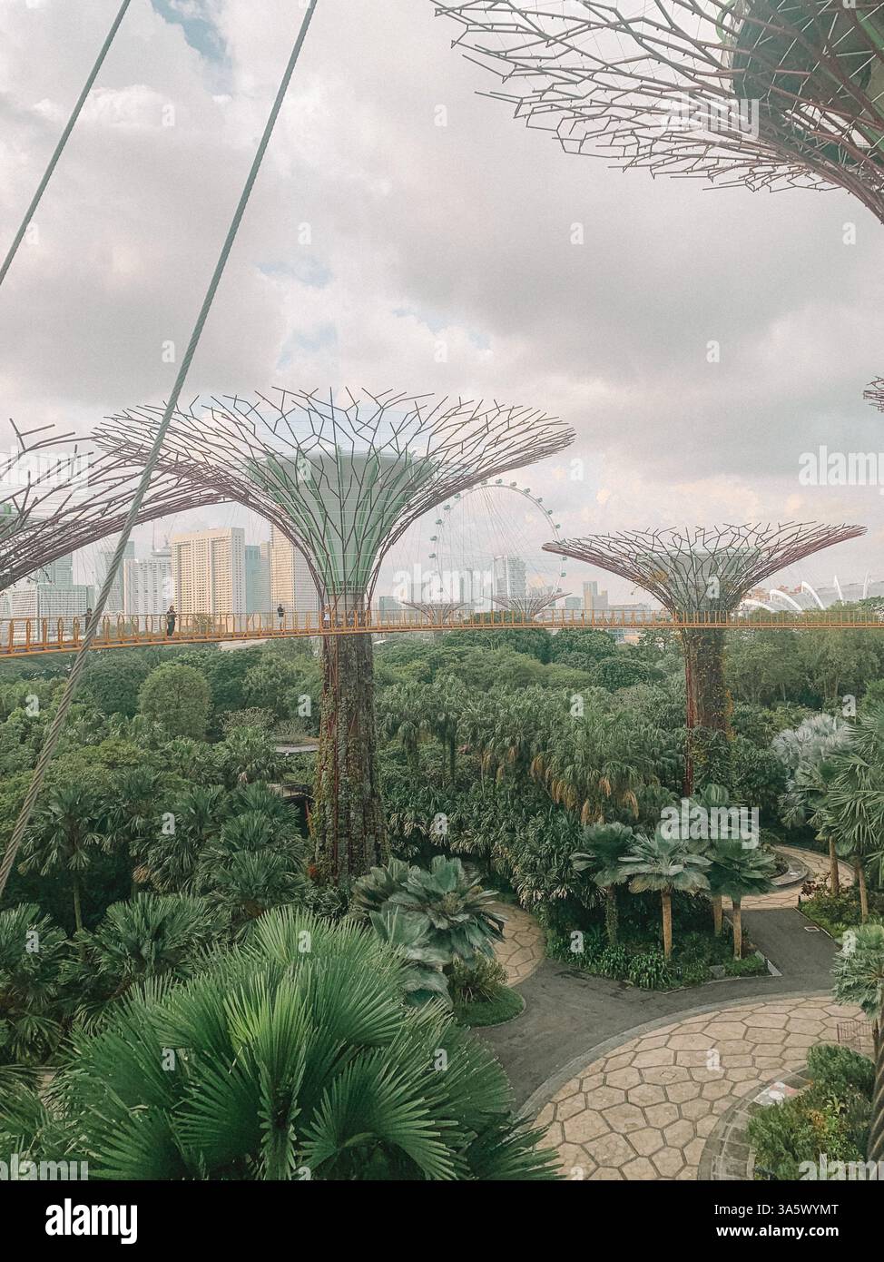 Gardens by the Bay, Singapur – üppiges Grün und futuristische Superbäume Stockfoto