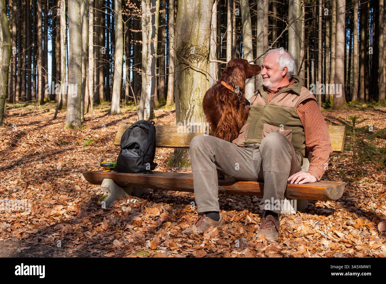 Ein älterer Mann sitzt auf einer hölzernen Bank im Wald, sein irischer Setter an seiner Seite. Ihre Köpfe berühren sich fast, ein ruhiger Moment der Harmonie. Stockfoto