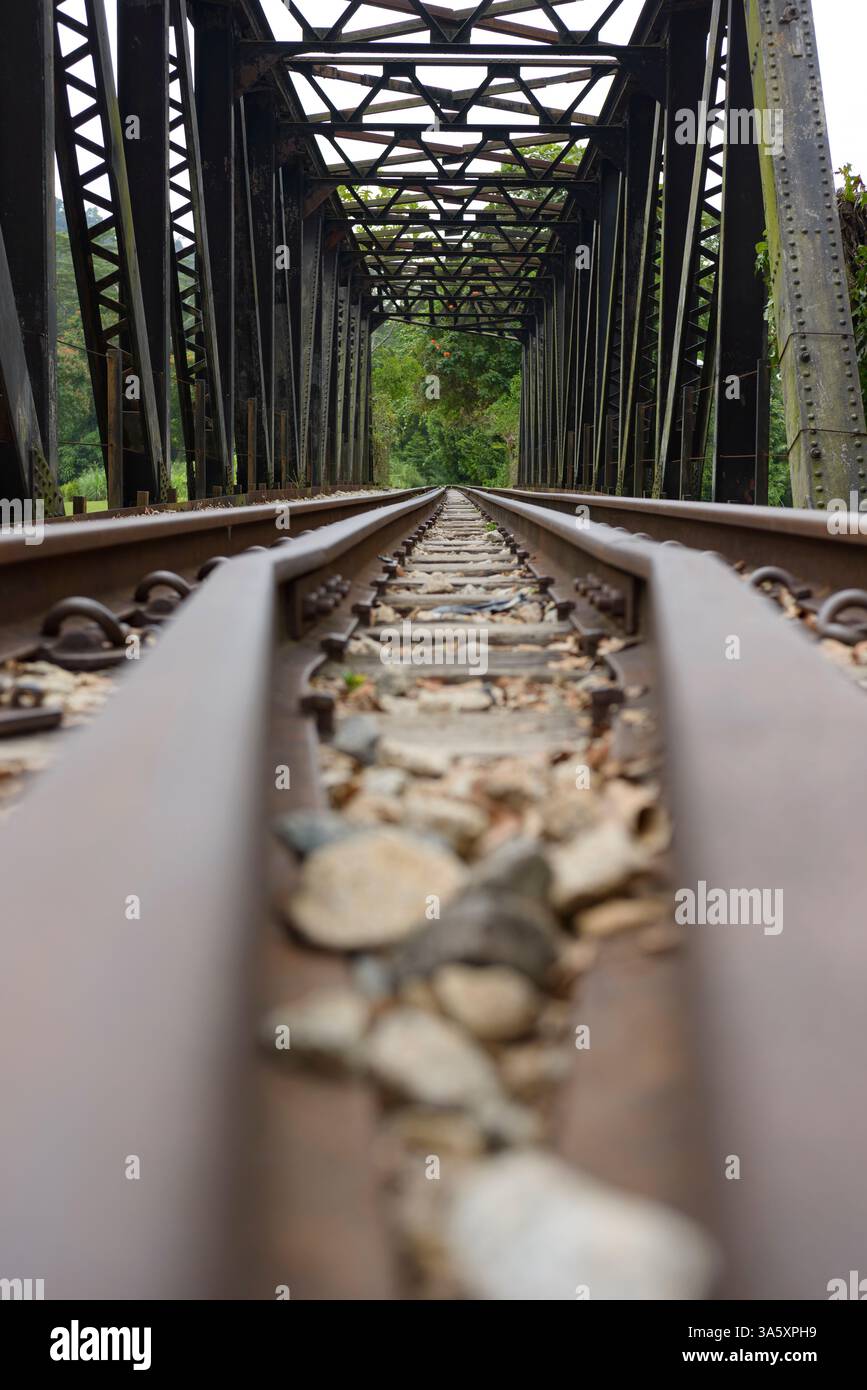 Brücke am Rail Corridor in Singapur, Südostasien Stockfoto