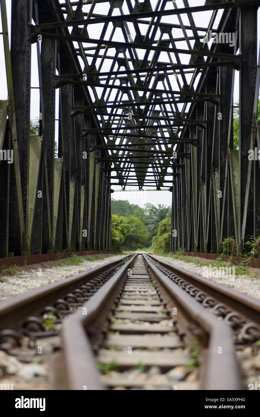 Brücke am Rail Corridor in Singapur, Südostasien Stockfoto