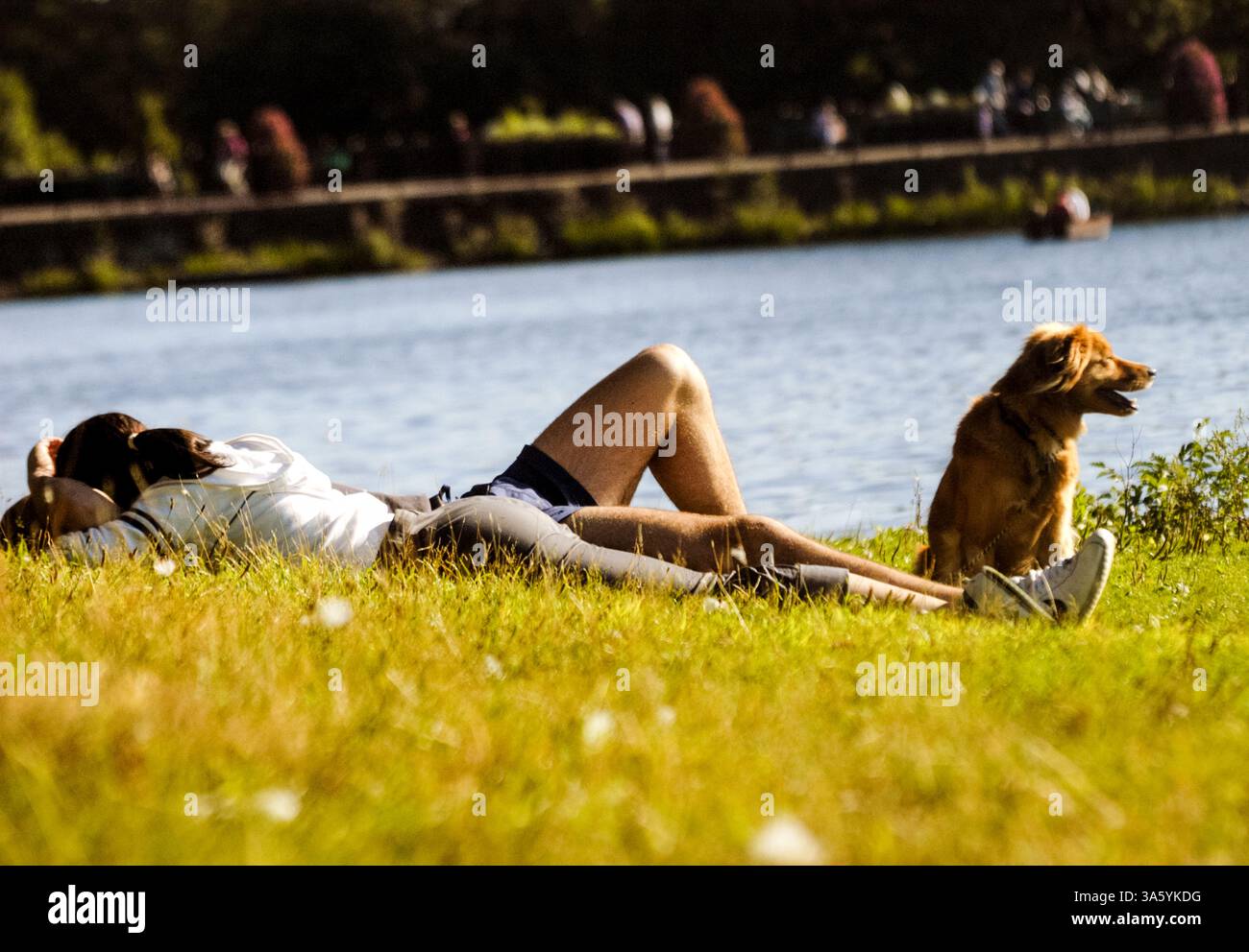 ROMANTOC PAAR, HUND, SOMMERABEND, ENTSPANNUNG, ROATH PARK, CARDIFF, WALES, ARCHIV, 2002: ein romantisches Paar wird von ihrem süßen Hund bewacht. Im September 2002 entspannen sich Menschen im Roath Park, Cardiff, Wales, Großbritannien. Foto: Rob Watkins Stockfoto