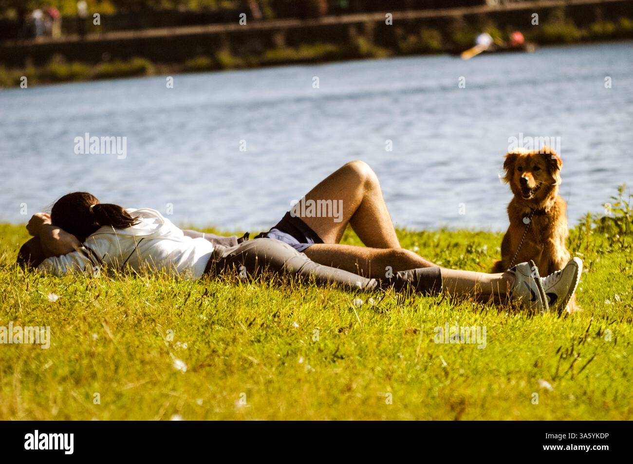 ROMANTOC PAAR, HUND, SOMMERABEND, ENTSPANNUNG, ROATH PARK, CARDIFF, WALES, ARCHIV, 2002: ein romantisches Paar wird von ihrem süßen Hund bewacht. Im September 2002 entspannen sich Menschen im Roath Park, Cardiff, Wales, Großbritannien. Foto: Rob Watkins Stockfoto