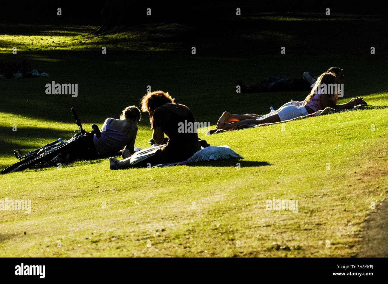 STUDENTEN LESEN BEI SONNENUNTERGANG, SOMMERABEND, ENTSPANNUNG, ROATH PARK, CARDIFF, WALES, ARCHIV, 2002: Menschen, die die Spätsommersonne im Roath Park, Cardiff, Wales, im September 2002 entspannen. Foto: Rob Watkins Stockfoto