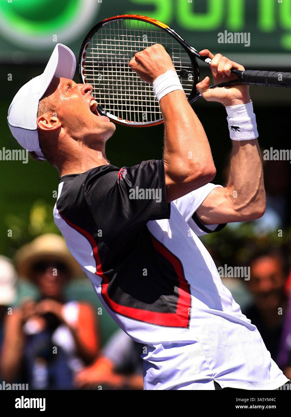 7. April 2008: Nikolay Davydenko aus Russland feiert nach dem Sieg gegen Rafael Nadal aus Spanien bei den Sony Ericsson Open für Männer in Key Biscayne, Florida, Sonntag, 6. April 2008. (Jeffrey M. Boan/El Nuevo Herald/MCT) (Kreditbild: © Jeffrey M. Boan/MCT/ZUMAPRESS.com) Stockfoto