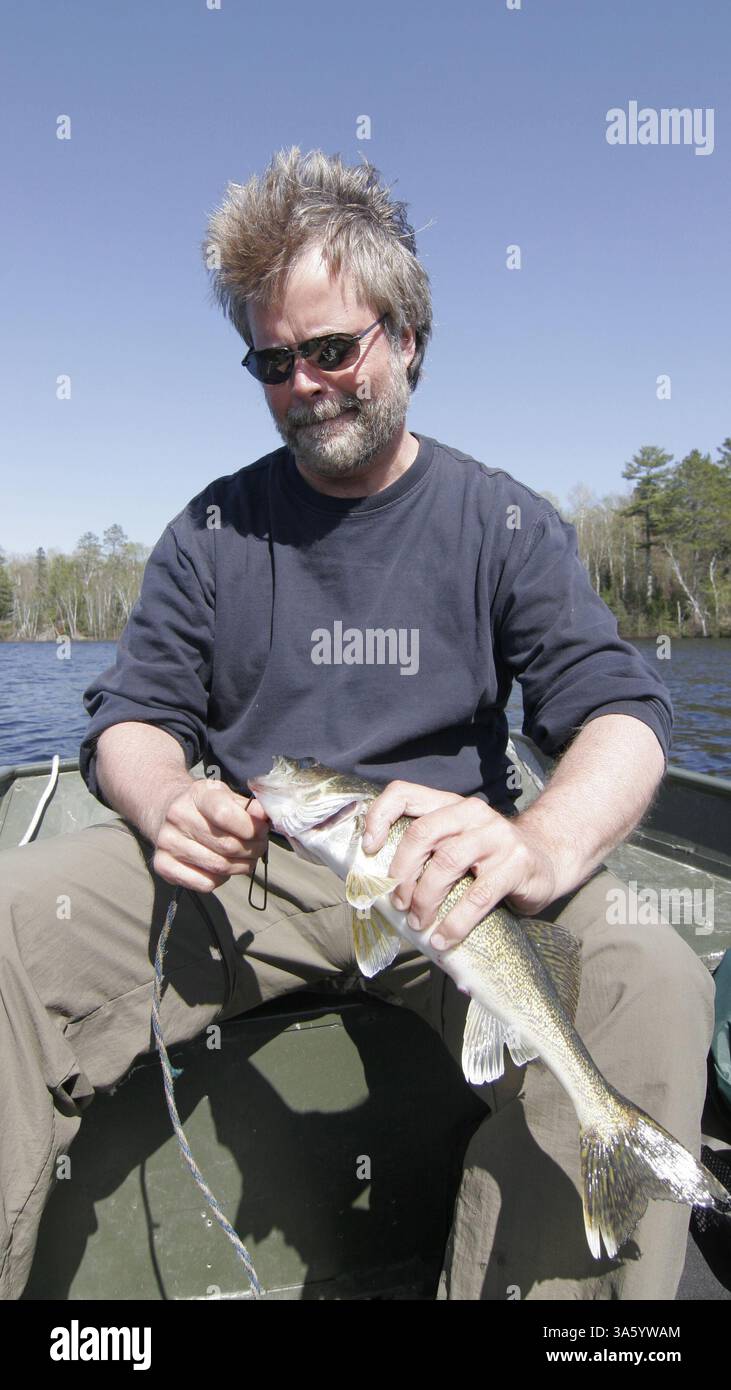 25. Mai 2008: John LaBahn aus Chaska legt am 25. Mai 2008 ein 16-Zoll-Walleye auf einen Stringer am Lake Vermilion in Minnesota. Es war von der Größe des Pflegers. Der See hat einen 17 bis 26 Zoll großen geschützten Platz für Walleyes, was bedeutet, dass die Fische in diesem Platz freigelassen werden müssen. (Doug Smith/Minneapolis Star Tribune/MCT) (Kreditbild: © Doug Smith/MCT/ZUMAPRESS.com) Stockfoto
