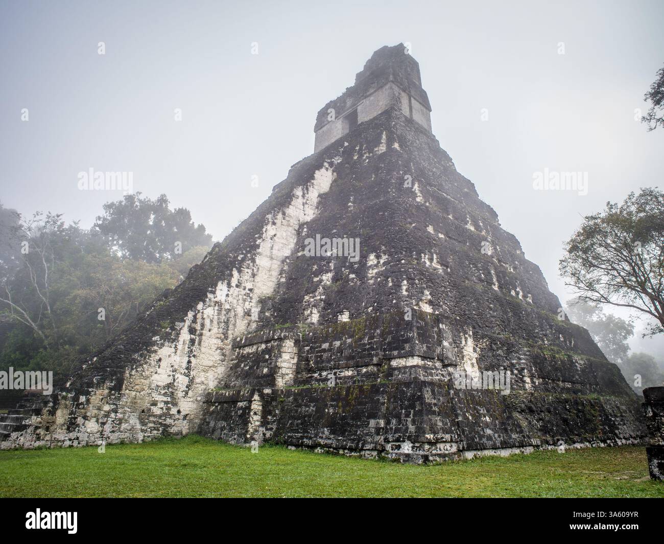 Altar El Gran Jaguar in Tikal, Peten, Guatemala Stockfoto