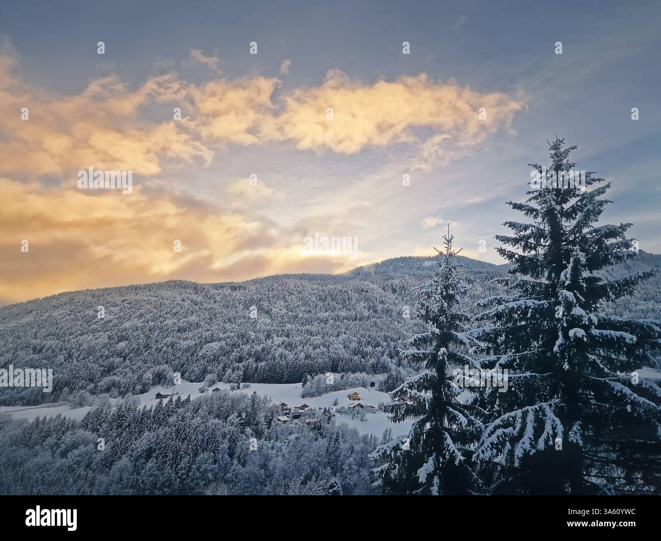Ruhige Winterlandschaft mit schneebedeckten Nadelbäumen auf den Hügeln unter Sonnenuntergang. Häuser zwischen den Wäldern schaffen eine malerische Szene. - Smartphone-aufgenommenes Stockfoto