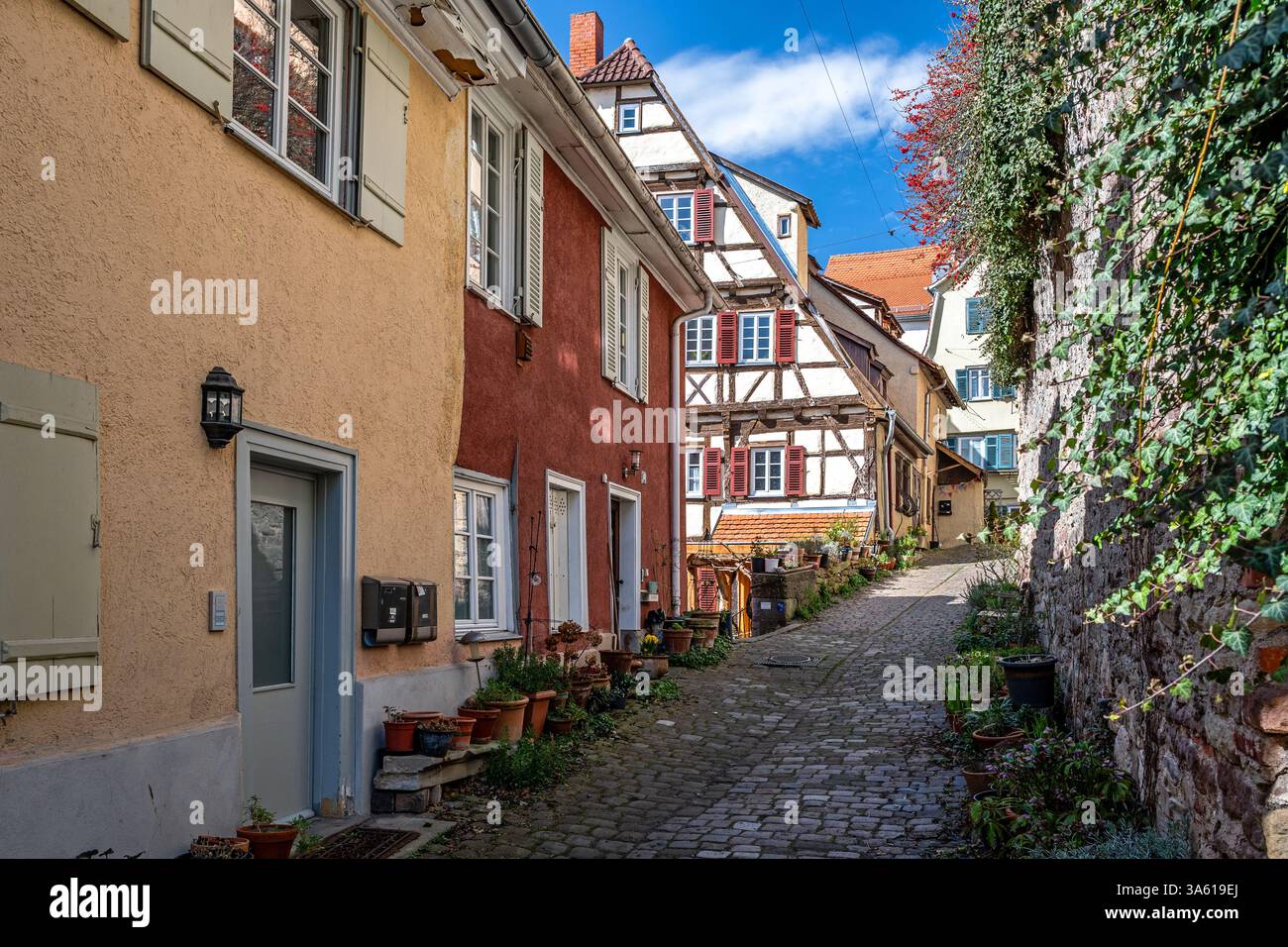 Gemütliche Kopfsteinpflasterallee in der Altstadt von Tübingen in Süddeutschland Stockfoto