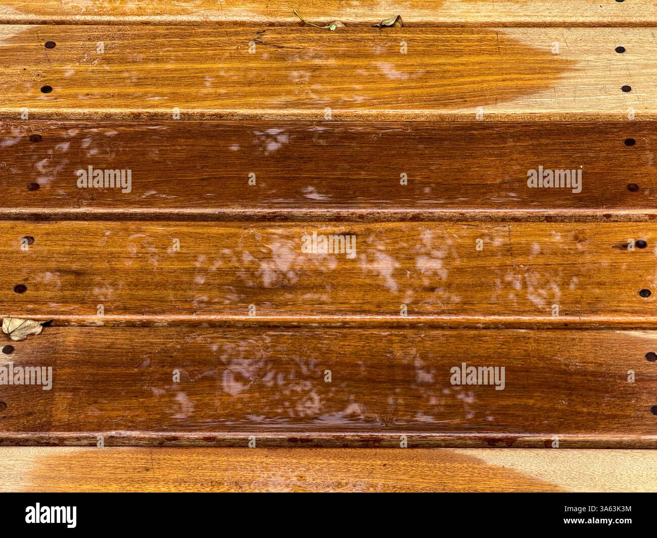 Nasse Holzdielen mit sichtbaren Reflexionen - Smartphone-aufgenommenes Stockfoto