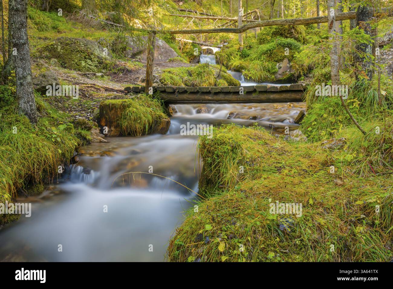 Blick auf eine Holzbrücke, die über einen Bach führt, lange Exposition, Dolomiten, Puez-Geisler Naturpark, St. Magdalena, Funes, Villnoesstal, Südtyr Stockfoto