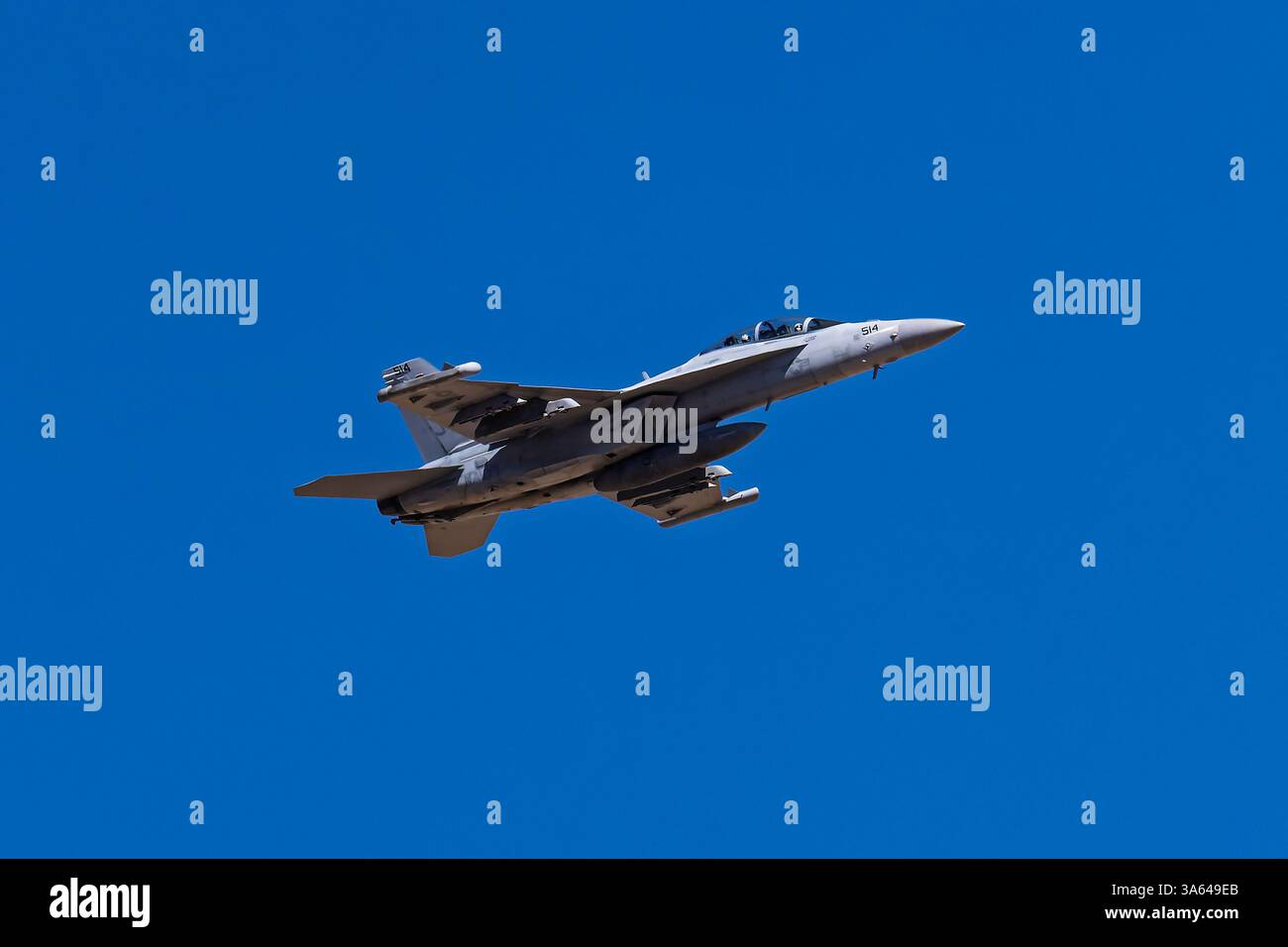 Davis Monthan AFB 3-22-2025 Tucson AZ USA US Navy EA-18G Growler Demo Team tritt bei der Davis Monthan Open House auf Stockfoto