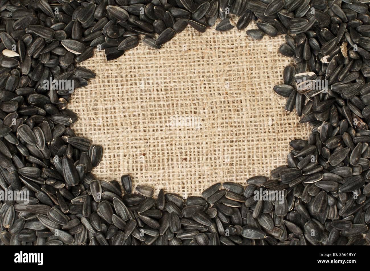 Sonnenblumenkerne auf Sackleinen braunen Hintergrund Stockfoto