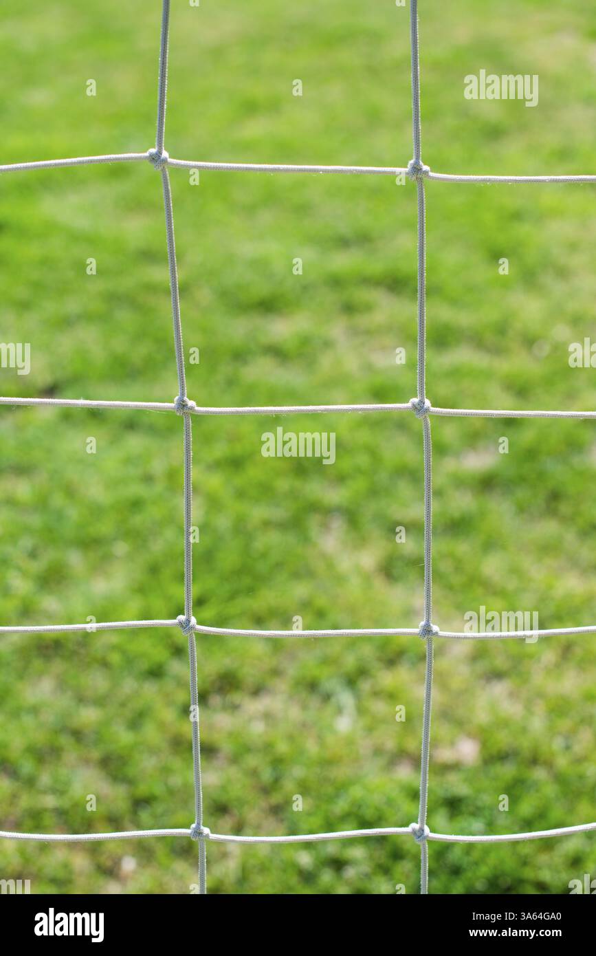 Fußball Netto und grasgrün Hintergrund Stockfoto