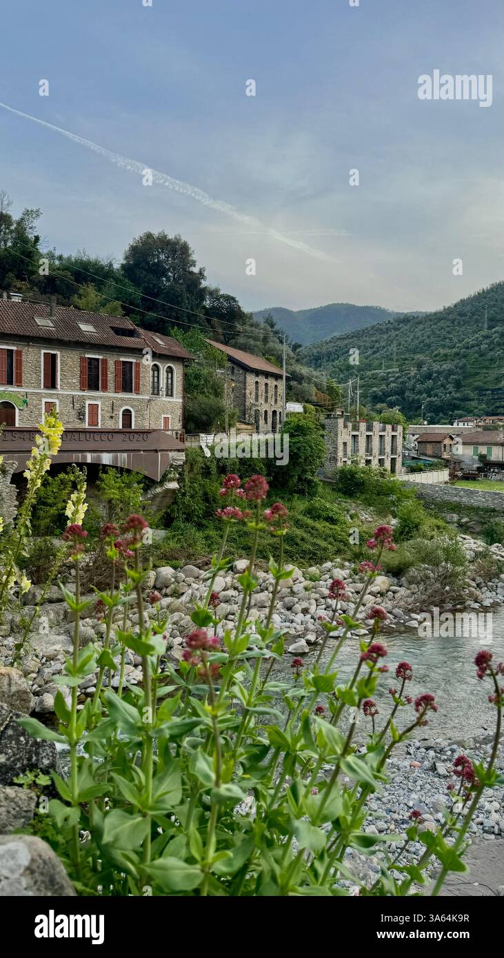 Ländliche Italien - Smartphone-aufgenommenes Stockfoto