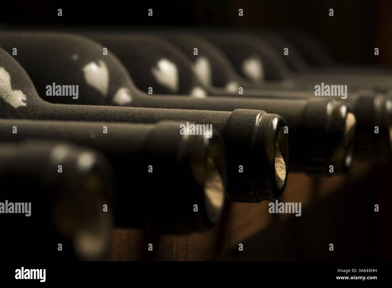 Weinflaschen auf dem Regal. Weinkeller. Schließen Sie Weinflaschen Stockfoto