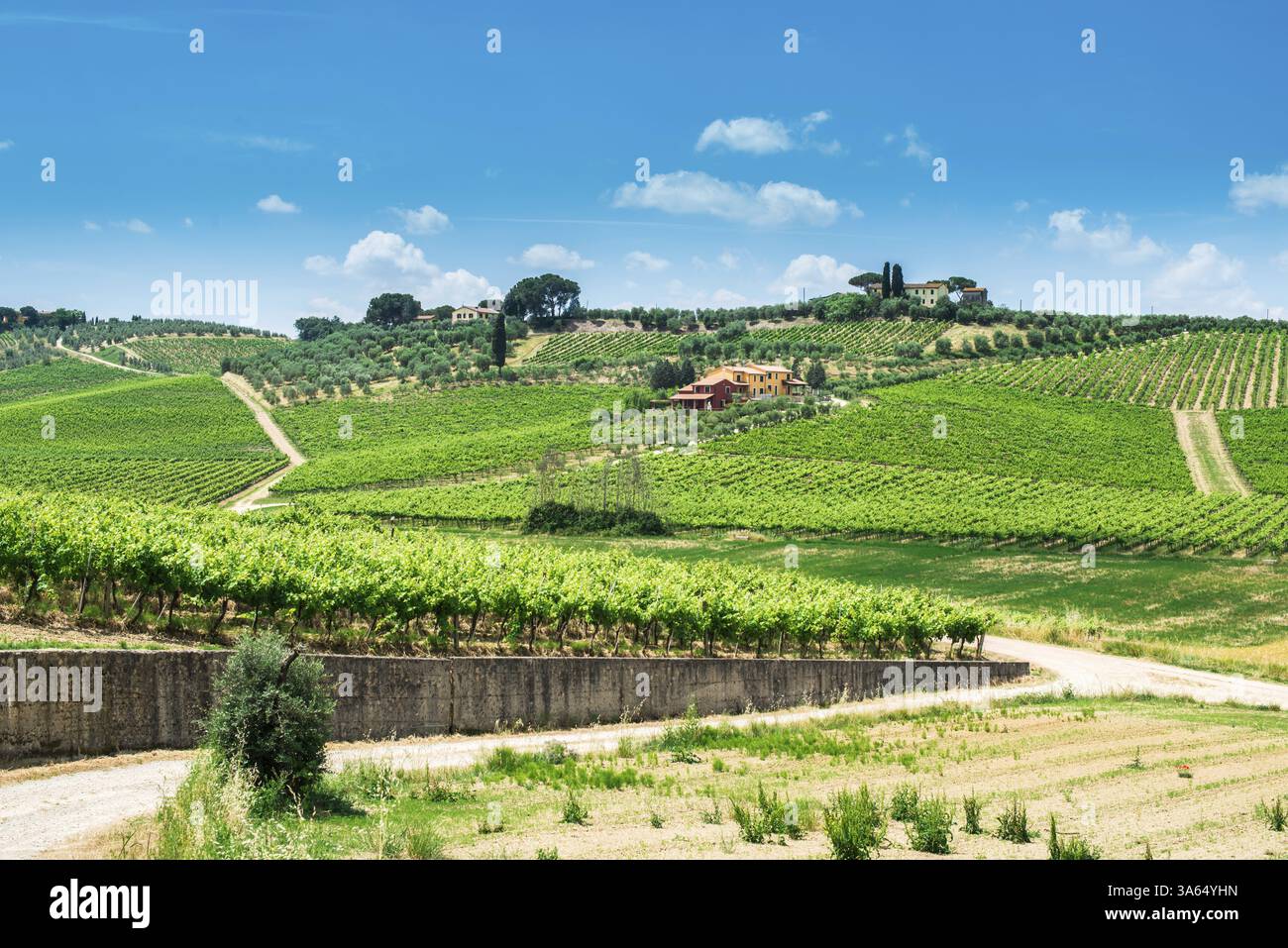 Weinanbau und Bauernhof in der Toskana, Italien, Europa Stockfoto