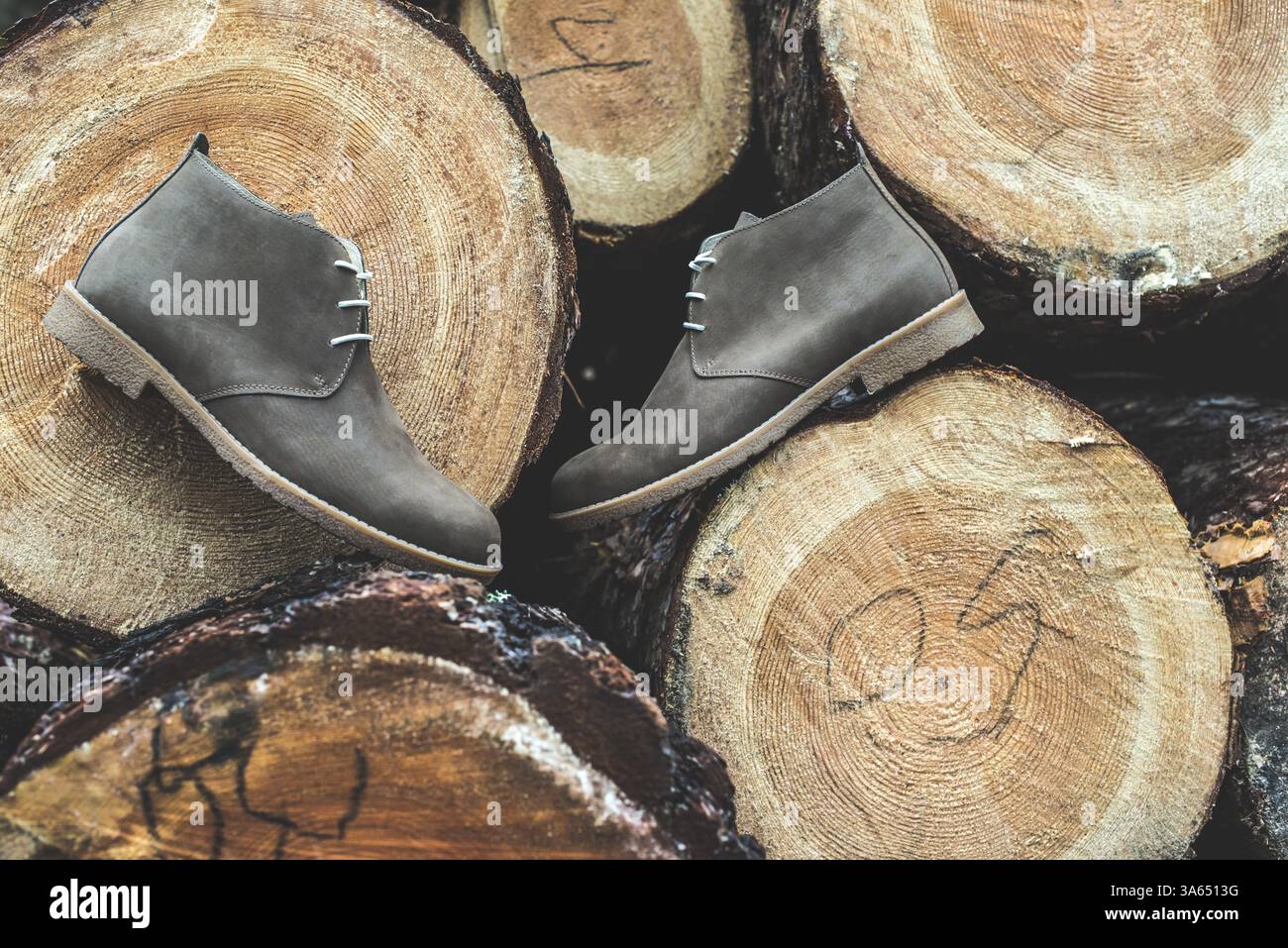 Legere Herren Lederschuhe auf Holz im Wald Stockfoto