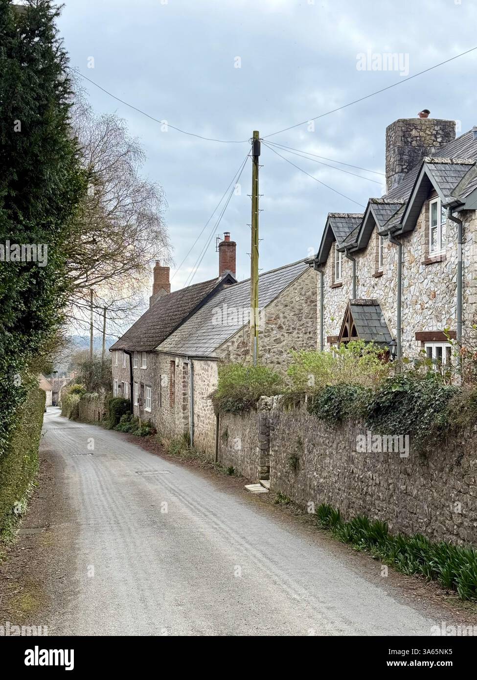 Four Street, Winsham, Somerset: Cottage Street View ohne Autos oder Menschen - Smartphone-aufgenommenes Stockfoto