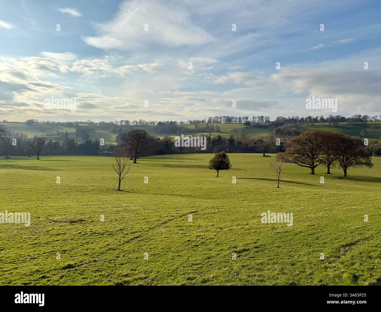 Cricket St Thomas House, Estate and Hotel, Chard, Somerset - Smartphone-aufgenommenes Stockfoto