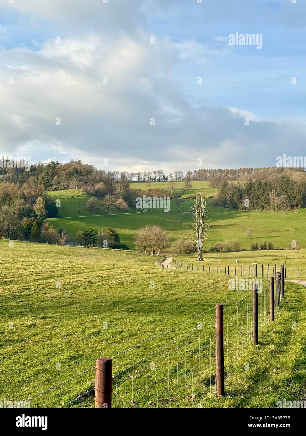 Cricket St Thomas House, Estate and Hotel, Chard, Somerset - Smartphone-aufgenommenes Stockfoto