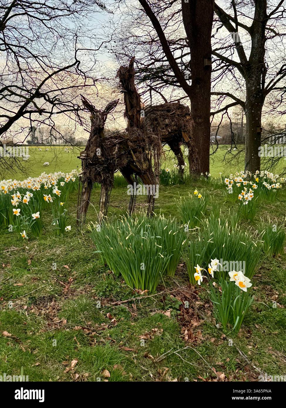 Cricket St Thomas House, Estate and Hotel, Chard, Somerset - Smartphone-aufgenommenes Stockfoto