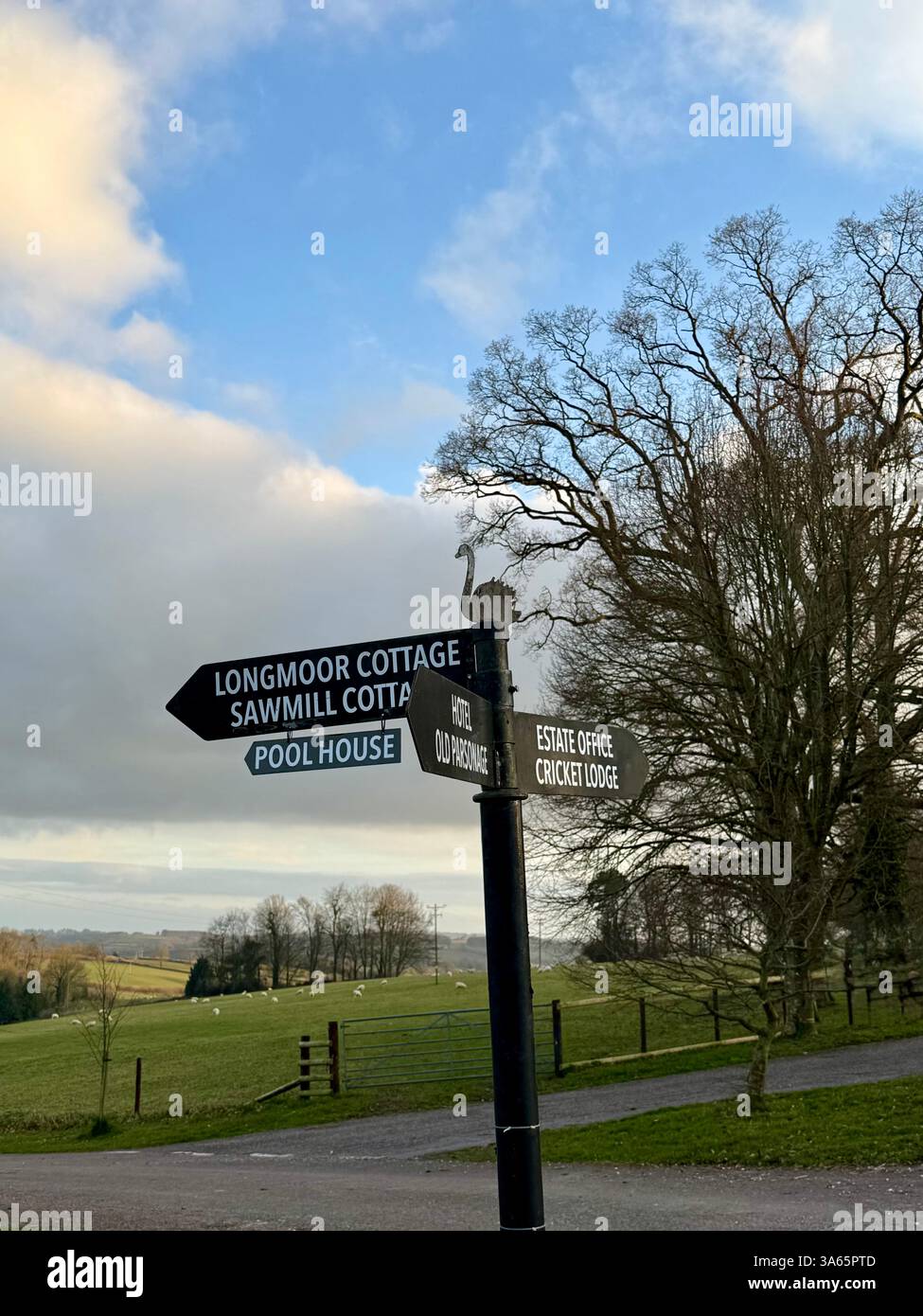 Cricket St Thomas House, Estate and Hotel, Chard, Somerset - Smartphone-aufgenommenes Stockfoto