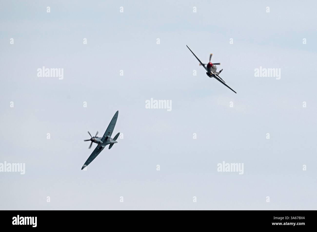 Ein Heritage Flight Supermarine Spitfire MkXIX und ein Mustang beim 15. Bournemouth Air Festival im Jahr 2023. Bournemouth, Dorset, England, Großbritannien. Stockfoto