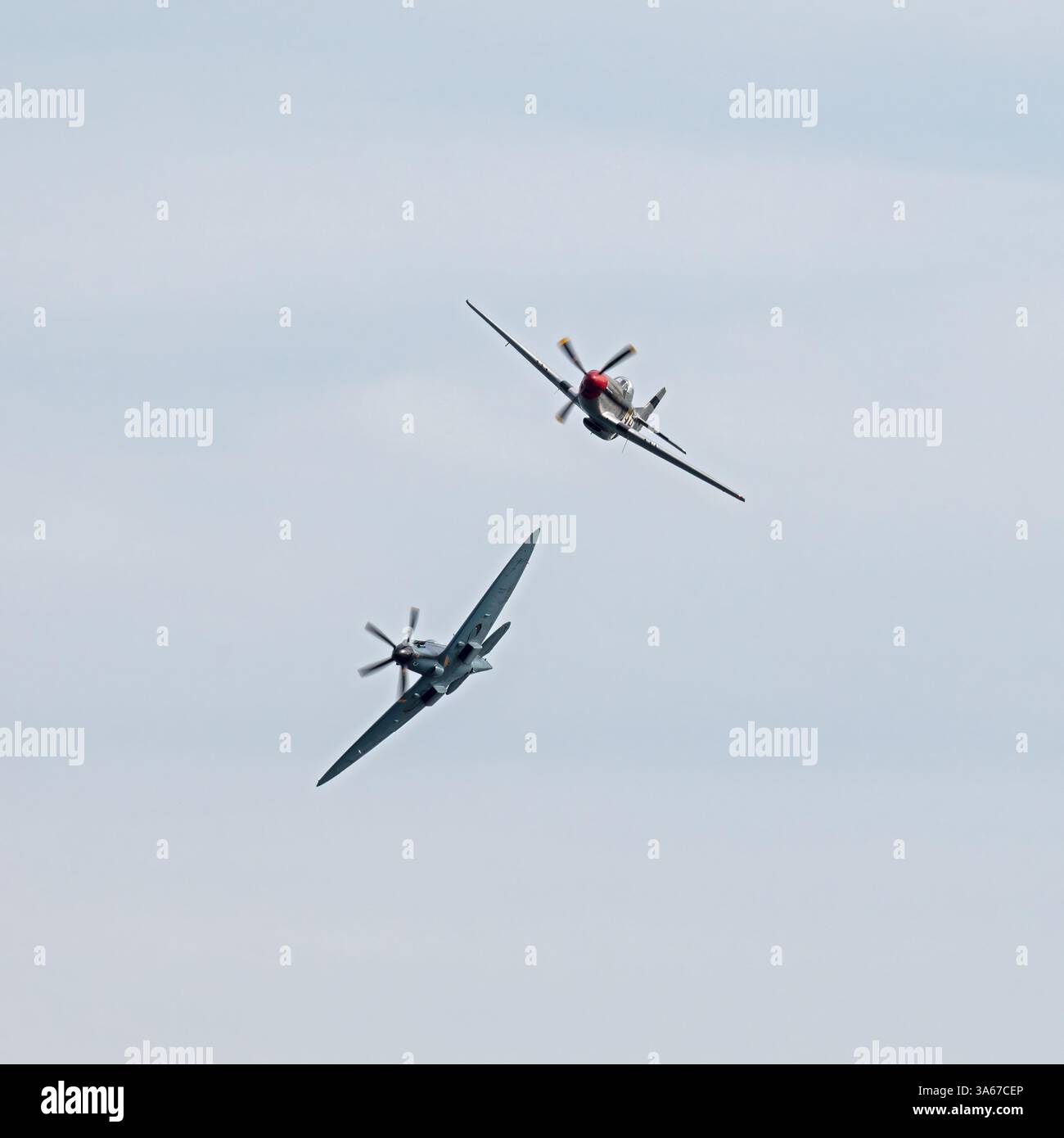 Ein Heritage Flight Supermarine Spitfire MkXIX und ein Mustang beim 15. Bournemouth Air Festival im Jahr 2023. Bournemouth, Dorset, England, Großbritannien. Stockfoto
