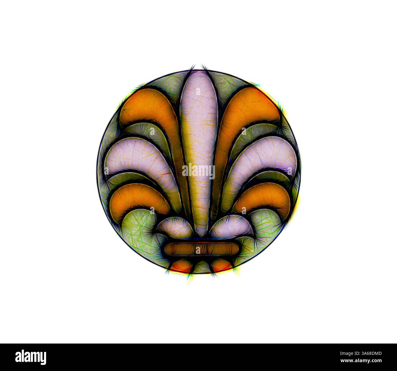 Ein lebendiges, stilisiertes Blumendesign mit einem zentralen Motiv mit eleganten, geschwungenen Blütenblättern in Orange-, Lila- und Grüntönen, die alle von einem runden Rahmen umgeben sind. Klassische Kunst mit modernem Touch, neu interpretiert von Artotop, verwandeltes assyrisches und persisches Ornament Stockfoto