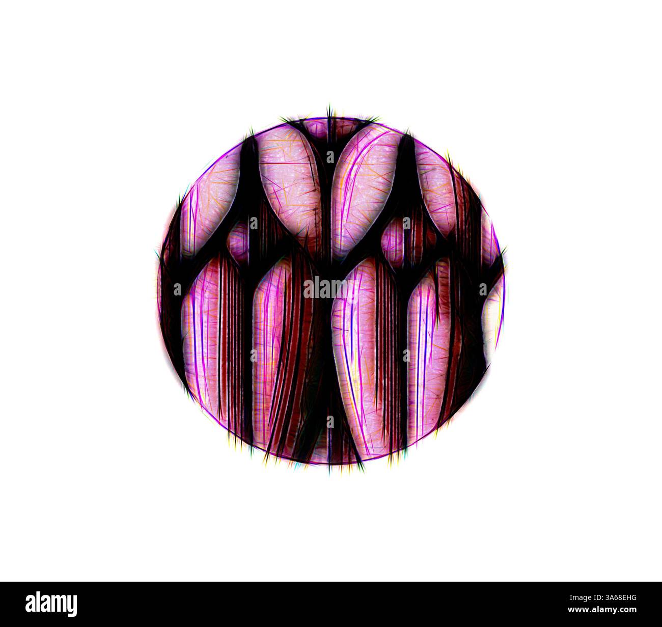 Ein kreisförmiges Muster mit komplexen, langen Formen mit lebhaften Farbtönen und feinen Linien, das ein Gefühl organischer Textur und Bewegung vermittelt. Klassische Kunst mit modernem Touch, neu interpretiert von Artotop, verwandeltes assyrisches und persisches Ornament Stockfoto