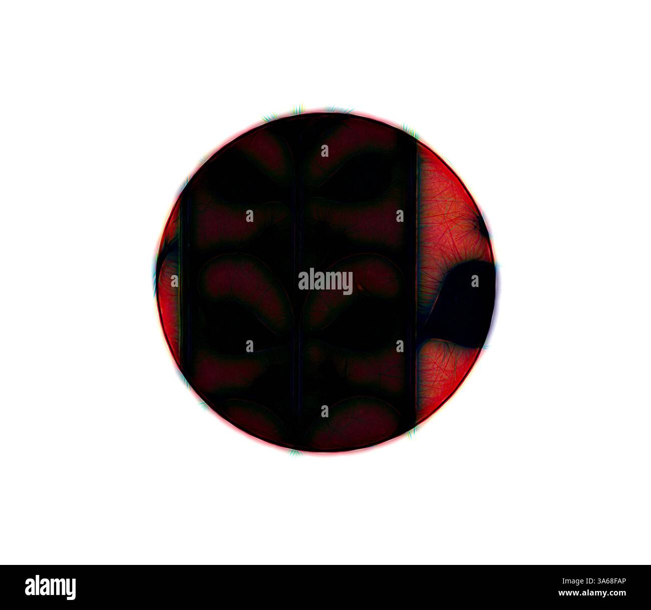 Ein abstraktes Design mit einer zentralen ovalen Form, gefüllt mit komplizierten Mustern und einer Mischung aus dunklen und lebendigen Farben, die ein Gefühl von Tiefe und Bewegung schaffen. Klassische Kunst mit einem modernen Touch, neu interpretiert von Artotop, verwandeltes griechisches Ornament und etruskisches Ornament Stockfoto