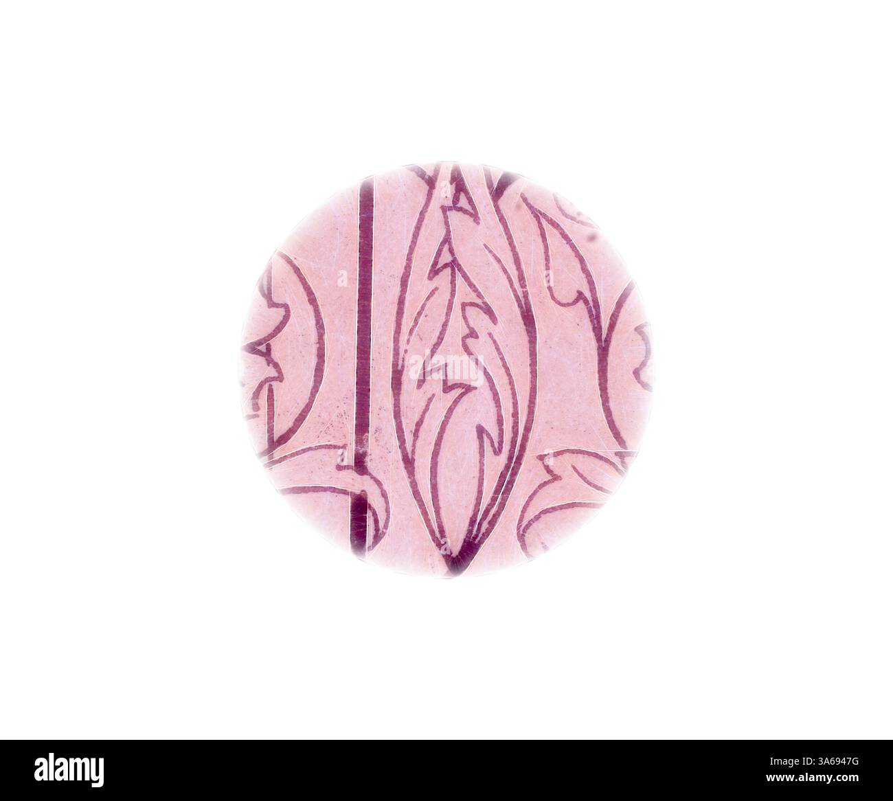 Ein kreisförmiges Design mit komplexen Blättern und Reben, das eine elegante und zarte Ästhetik schafft. Klassische Kunst mit modernem Touch, neu interpretiert von Artotop, transformiertes italienisches Ornament Stockfoto