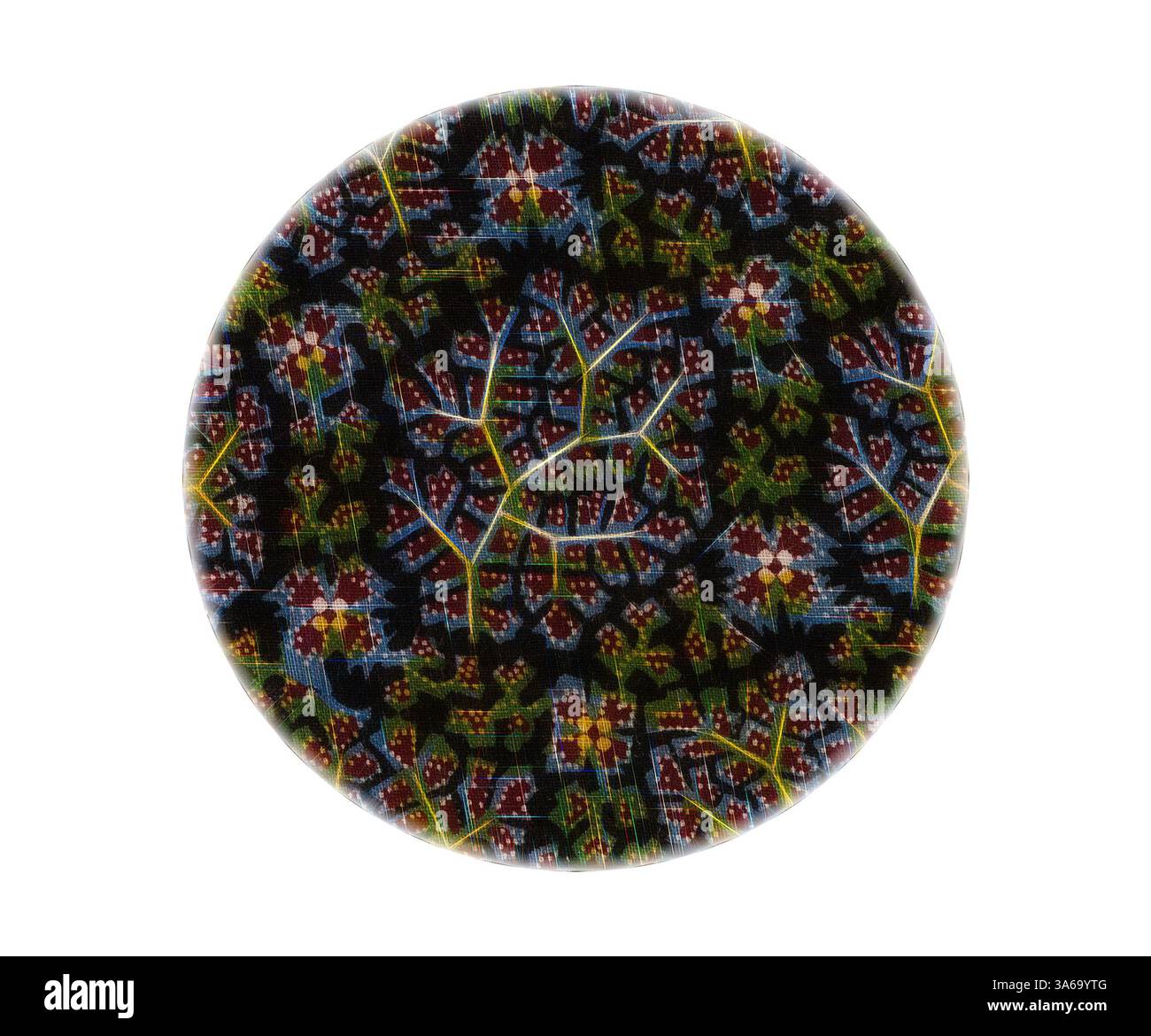 Ein kreisförmiges Design mit komplizierten Blumenmustern in lebhaften Farben, mit einem markanten dunklen Hintergrund, der die detaillierten Motive und das symmetrische Layout unterstreicht. Klassische Kunst mit modernem Touch, neu interpretiert von Artotop, transformierte französische Stoffe, erste Hälfte des 19. Jahrhunderts Stockfoto