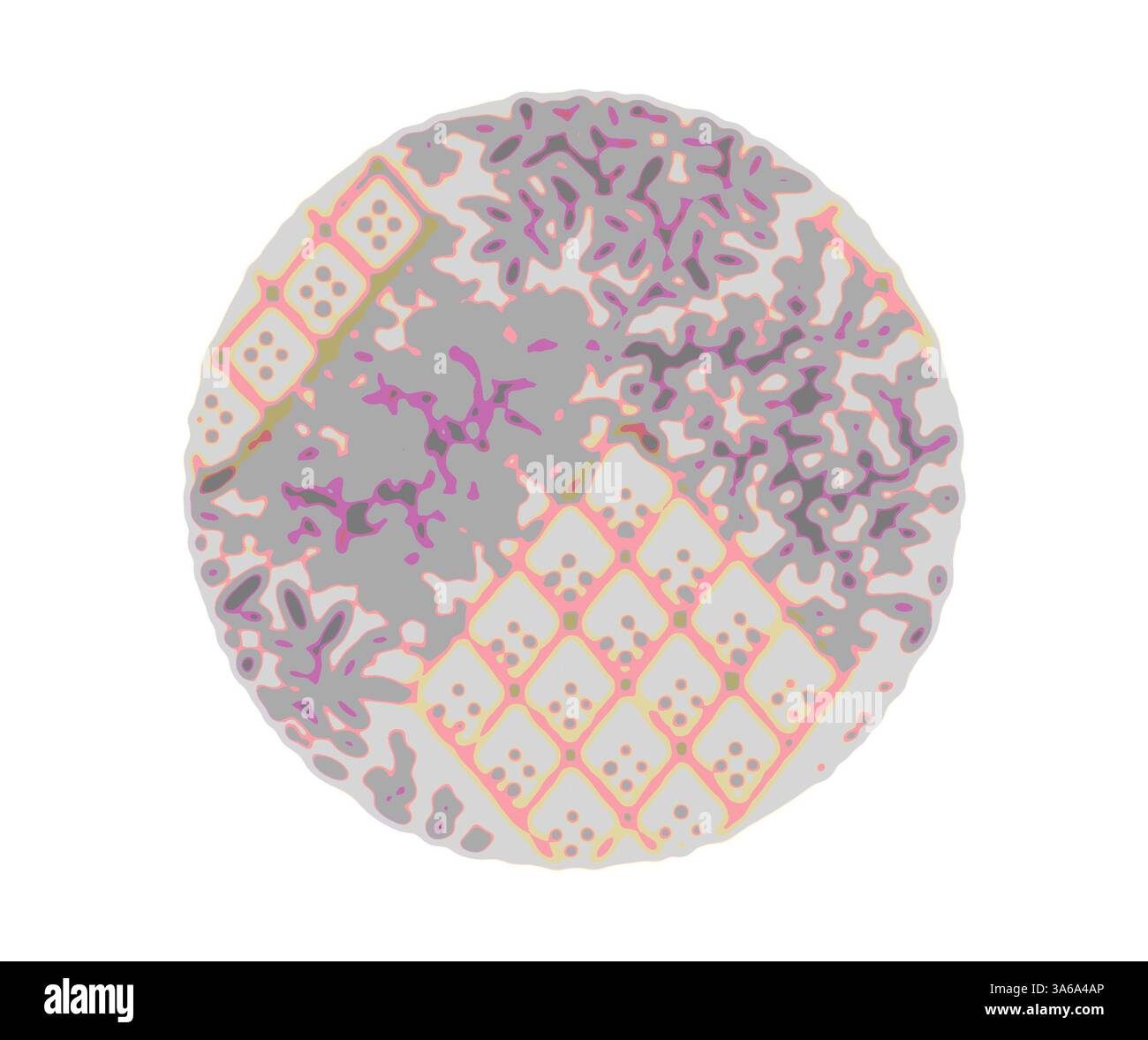 Eine kreisförmige Komposition mit abstraktem Muster mit verschiedenen Formen und Texturen in einer harmonischen Mischung gedämpfter Töne. Das Design umfasst geometrische Elemente und organische Formen, wodurch ein faszinierendes visuelles Interesse entsteht. Klassische Kunst mit modernem Touch, neu interpretiert von Artotop, transformierte französische Stoffe, erste Hälfte des 19. Jahrhunderts Stockfoto