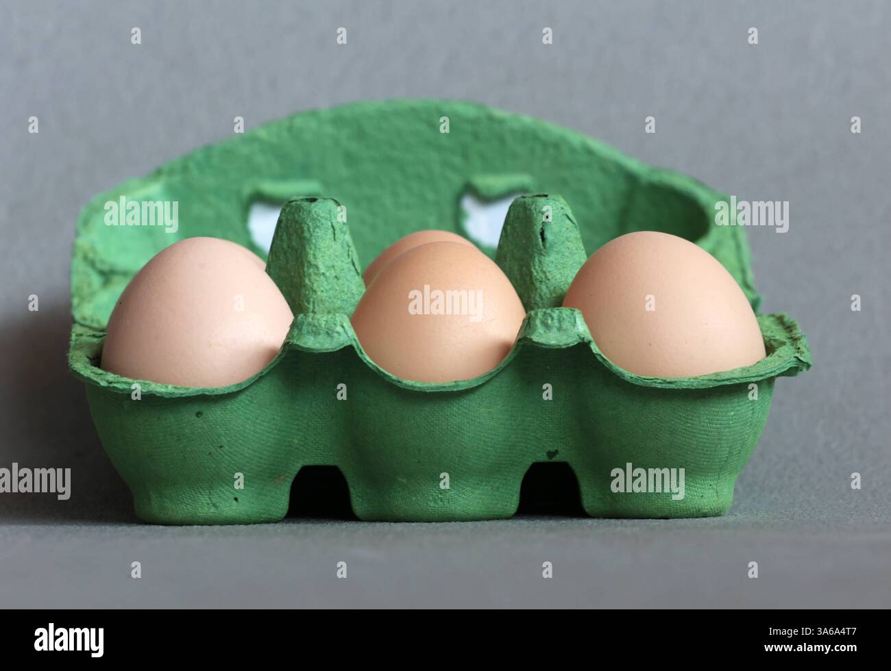 Hier im Bild 6 frische Bio Eier aus kontorllierter Ökologischer Erzeugung, Güteklasse mit einem Eierkarton, Verpackung Hühnerei, Eierknappheit, Preisanstieg, leere Regale, wenige Eier, große Nachfrage *** hier im Bild 6 frische Bio-Eier aus kontrolliert biologischem Anbau, Güteklasse mit Eierkarton, Hühnerei, Eierknappheit, Preiserhöhung, leere Regale, wenige Eier, hohe Nachfrage Stockfoto