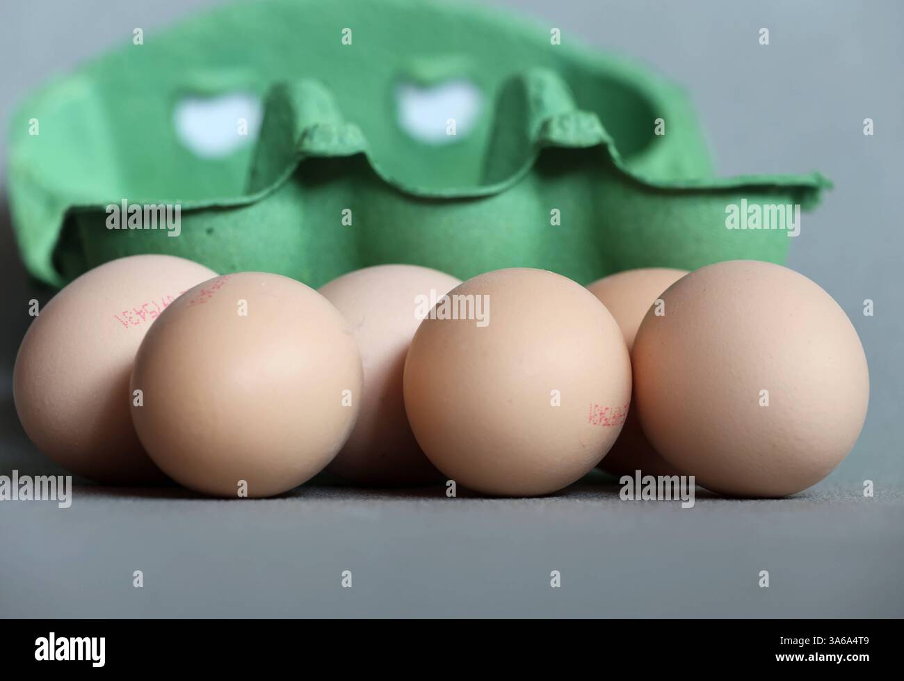 Hier im Bild 6 frische Bio Eier aus kontorllierter Ökologischer Erzeugung, Güteklasse mit einem Eierkarton, Verpackung, davor liegend Hühnerei, Eierknappheit, Preisanstieg, leere Regale, wenig Eier, große Nachfrage *** hier im Bild 6 frische Bio-Eier aus kontrolliert biologischem Anbau, Güteklasse mit Eierkarton, Verpackung, davor liegendes Hühnerei, Eierknappheit, Preiserhöhung, leere Regale, wenige Eier, hohe Nachfrage Stockfoto
