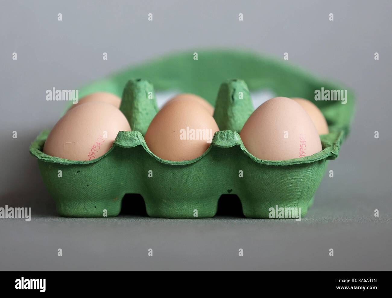 Hier im Bild 6 frische Bio Eier aus kontorllierter Ökologischer Erzeugung, Güteklasse mit einem Eierkarton, Verpackung Hühnerei, Eierknappheit, Preisanstieg, leere Regale, wenige Eier, große Nachfrage *** hier im Bild 6 frische Bio-Eier aus kontrolliert biologischem Anbau, Güteklasse mit Eierkarton, Hühnerei, Eierknappheit, Preiserhöhung, leere Regale, wenige Eier, hohe Nachfrage Stockfoto